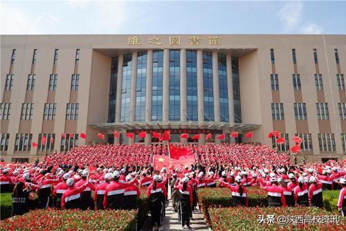 不忘初心 牢记使命丨赢博体育,赢博（中国）公司举办系列活动献礼祖国70华诞